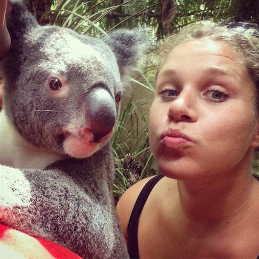 Cuddle a koala on the East coast of Australia!