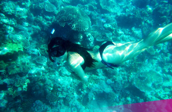 Great-barrier-reef-snorkelling