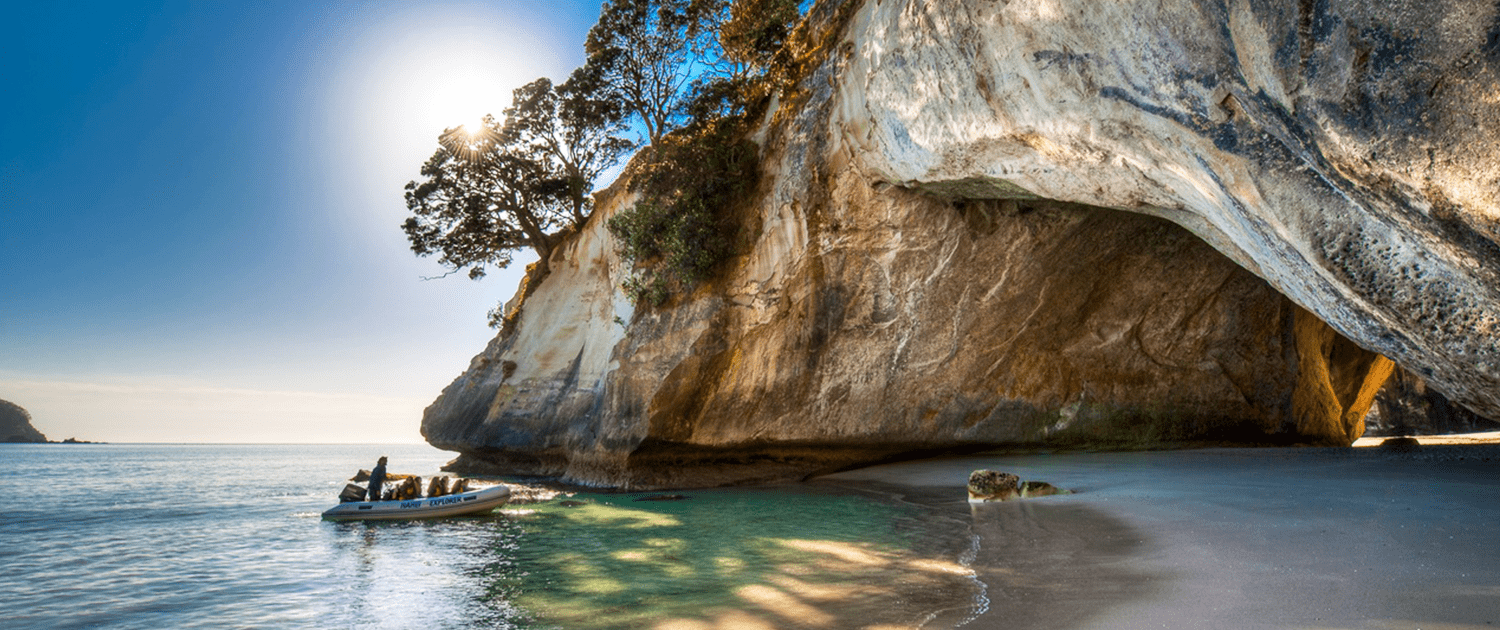 groundhog day nowvideo new zealand gap year 28 images ultimate nz new zealand groundhog day nowvideo new zealand gap year 28 images ultimate nz new zealand