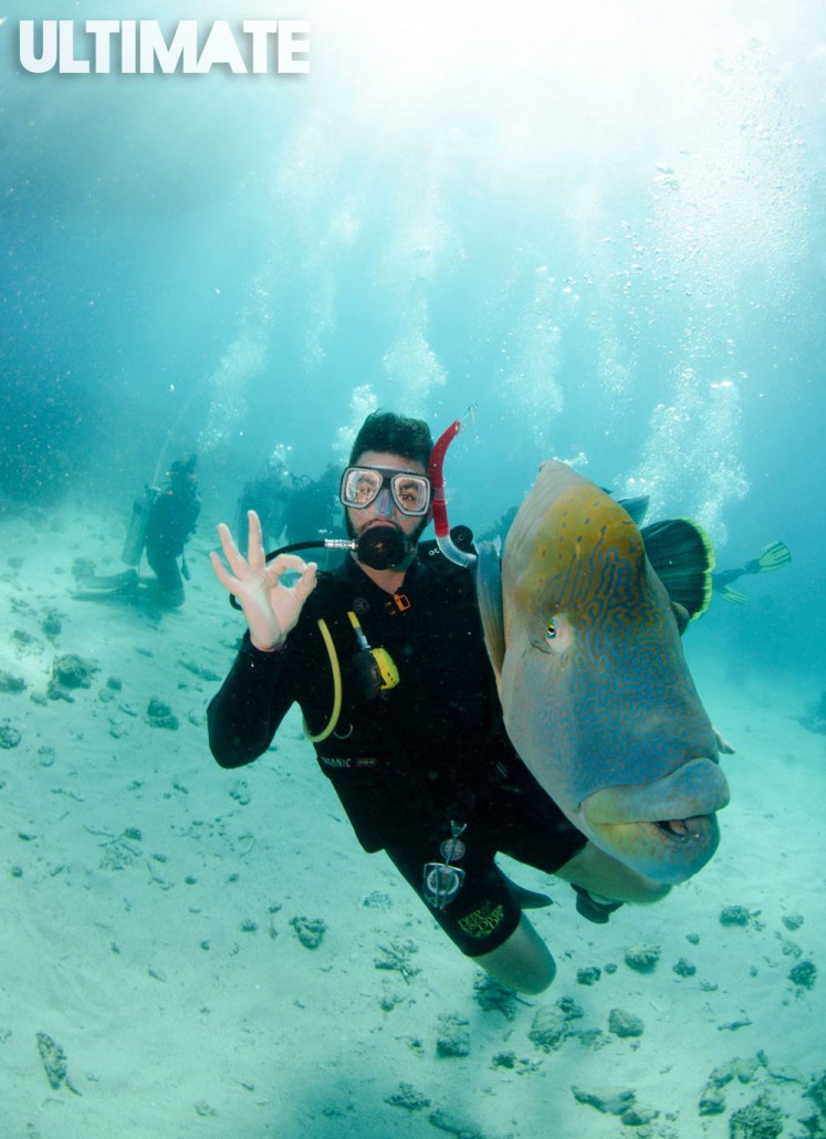 Meeting the locals in the Great Barrier Reef