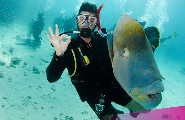 Great-barrier-reef Dive on the Great Barrier Reef