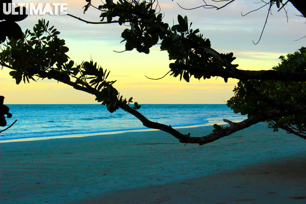 The beach in Cape Tribulation