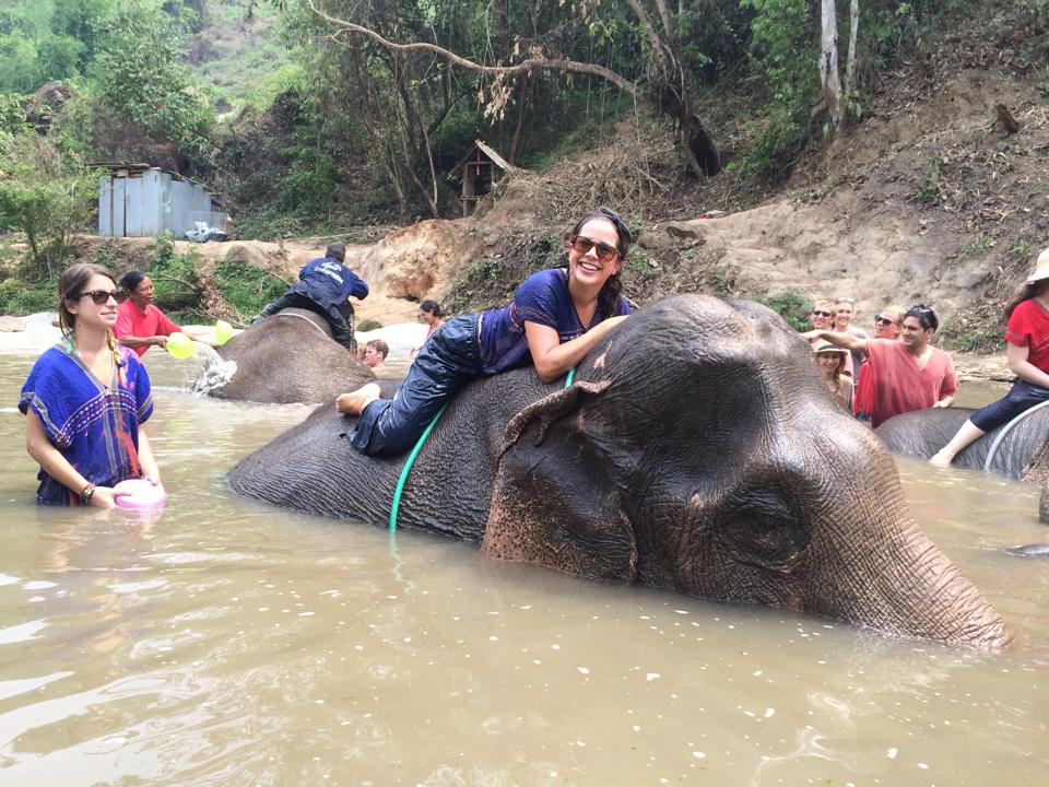 Volunteer travel experience with elephants in Thailand