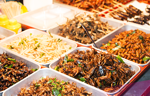 Every backpacker should experience in Thailand