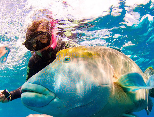 Whitsunday Islands