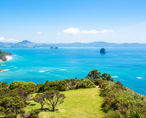 Portfolio - Ultimate NZ