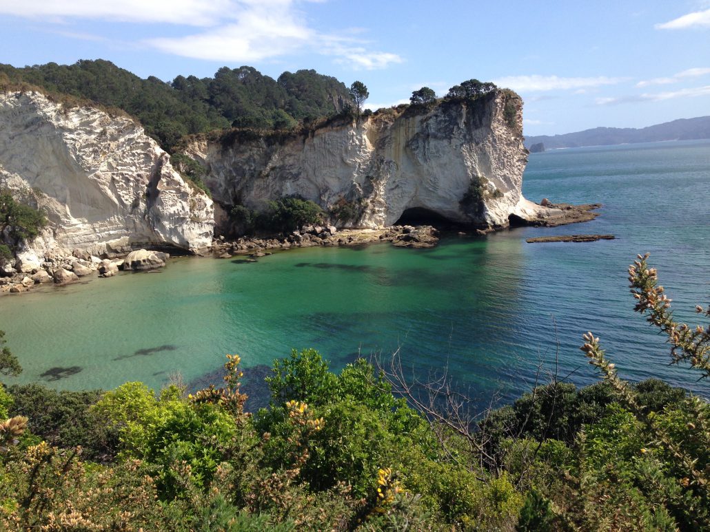 Guide to your New Zealand Road Trip