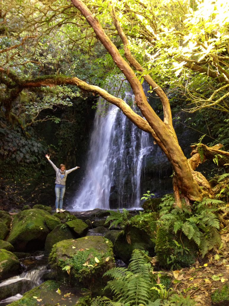 Guide to your New Zealand Road Trip