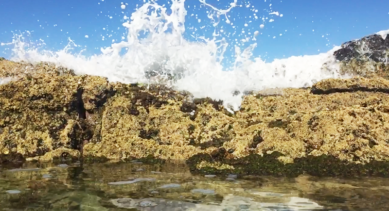 Champagne Pools, Fraser Island