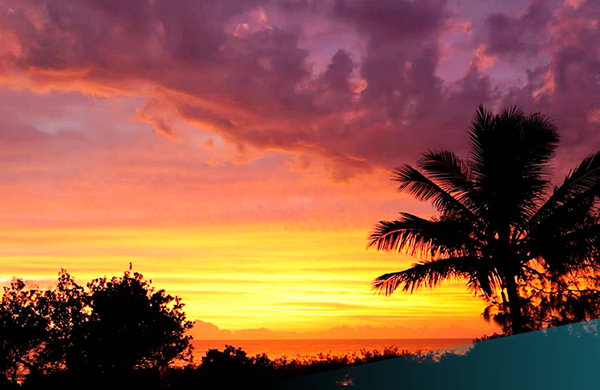 Days 22-23 – Airlie Beach