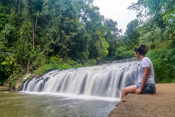 DAY 32 ATHERTON TABLELANDS 