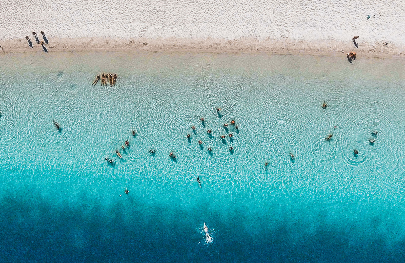 Fraser Island, Lake Mckenzie - Ultimate East Coast