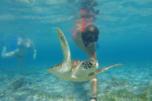 Ultimate Thailand - 11 day
