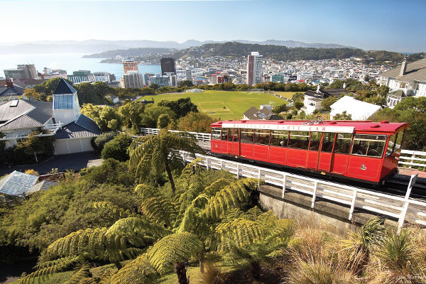  DAY 19  BACK TO WELLINGTON 