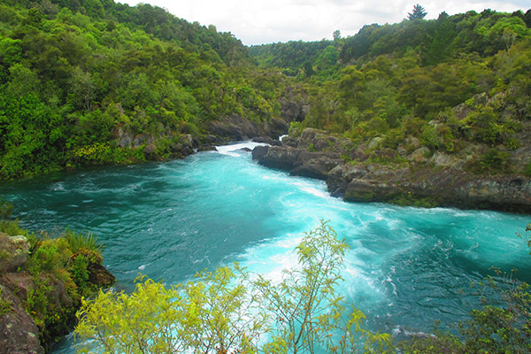  DAY 1  AUCKLAND / WAITOMO CAVES / TAUPO