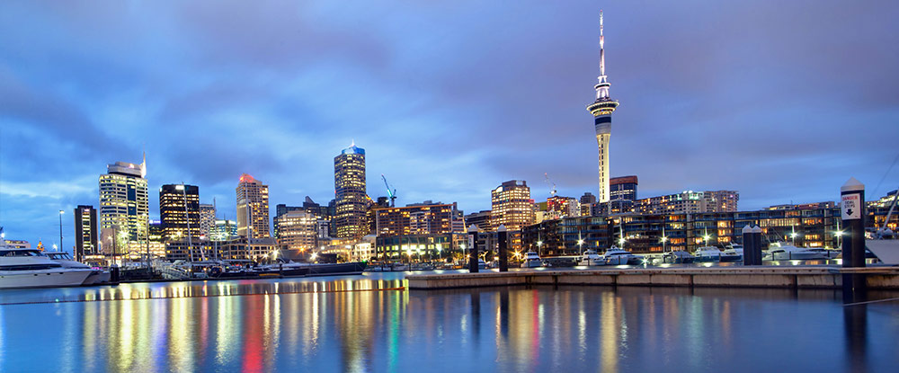 NZ Gap Year - Auckland Skyline