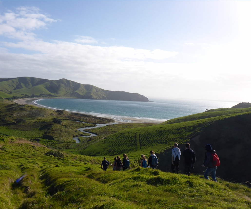 New Zealand Gap Year Work in New Zealand Ultimate Adventure Travel