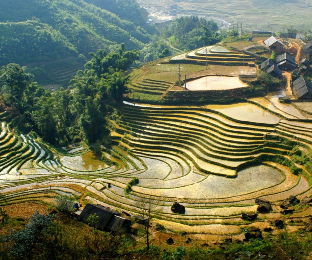 Sapa Media Grid