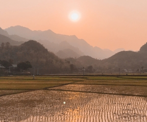 Sapa Media 6