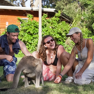 UltimateOz Kangeroo
