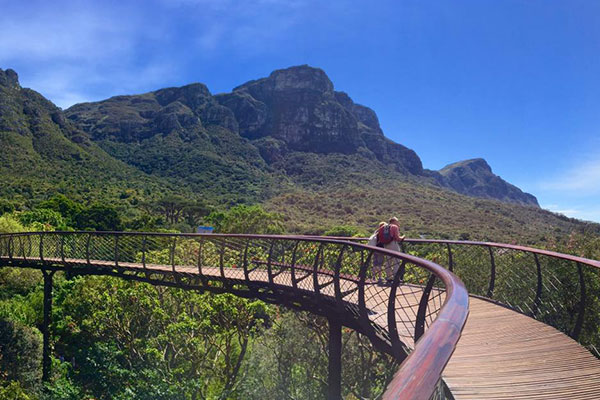 DAY 1 Garden Route