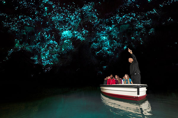  DAY 21  WAITOMO & RAGLAN 