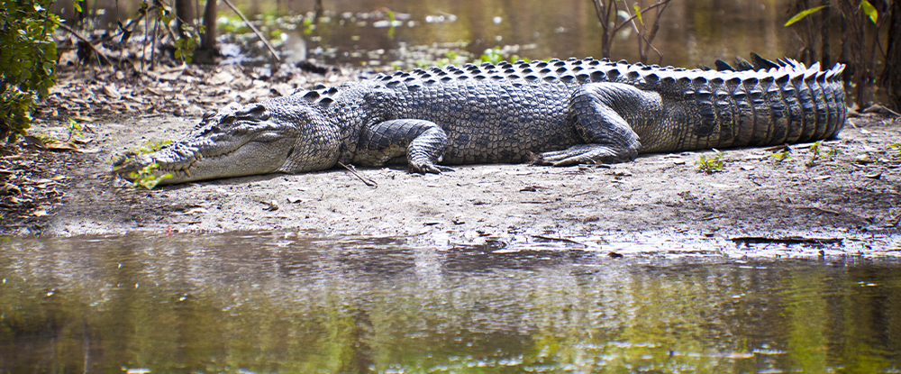 Top End Group Tour - Ultimate Adventure Travel