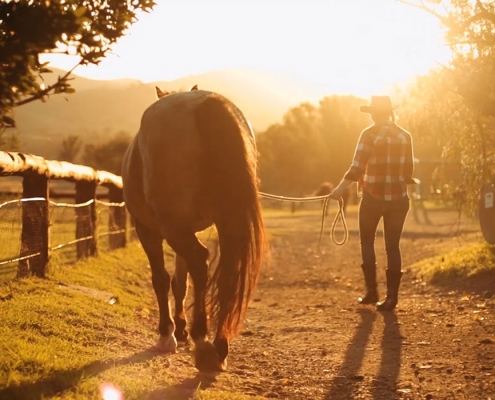 Farmwork Australia