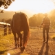 Farmwork Australia