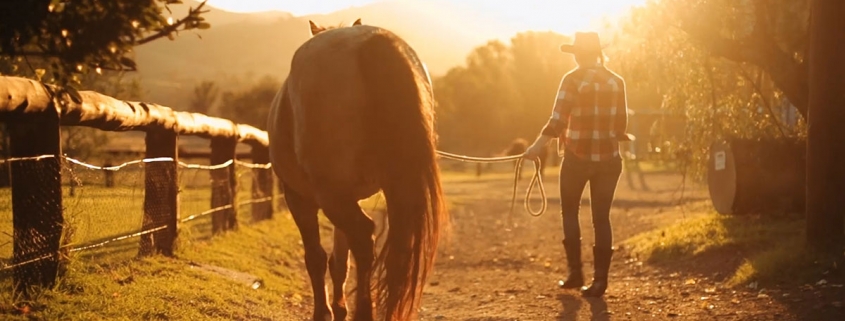 Farmwork Australia