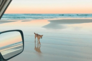 Australia Adventure Tour - Epic Australia Outback