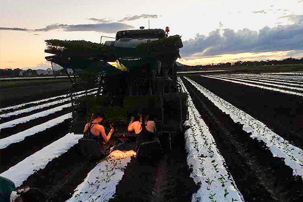 88 DAY FARMWORK AUSTRALIA 2019