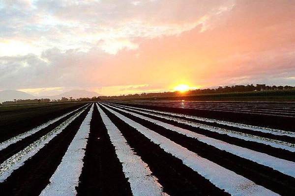 88 DAY FARMWORK AUSTRALIA 2019