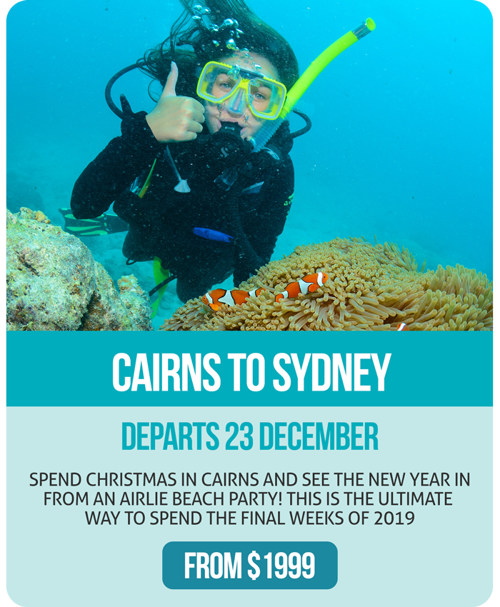 Ultimate Christmas Specials - Cairns to Sydney