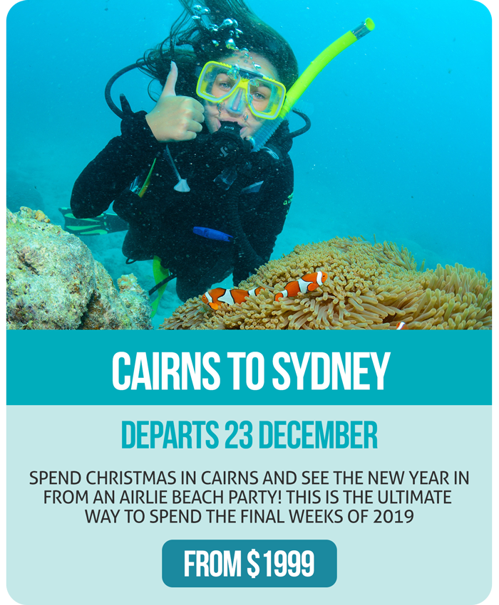 Ultimate Christmas Specials - Cairns to Sydney Ultimate Christmas Specials - Cairns to Sydney