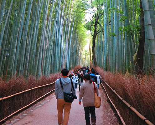 Japan Group Tour