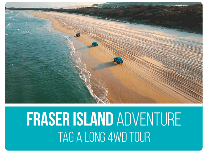 Australia Tour Packages Fraser Island Adventure