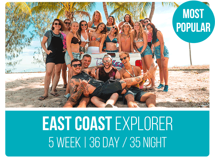 Australia Tour Packages East Coast Explorer 5 Week Tour