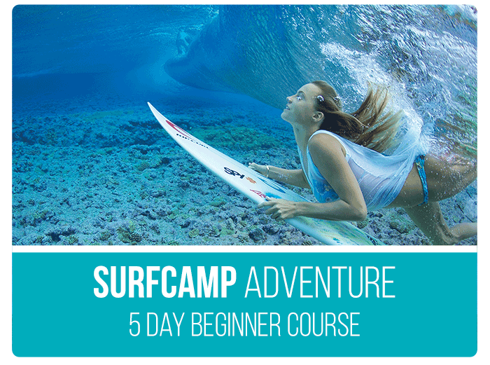 Australia Tour Packages Surfcamp Australia