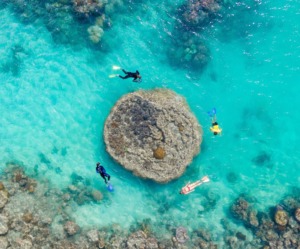 East Coast Bucketlist Group Tour Shaka