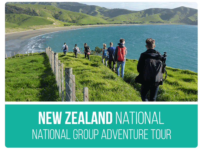 tour group new zealand