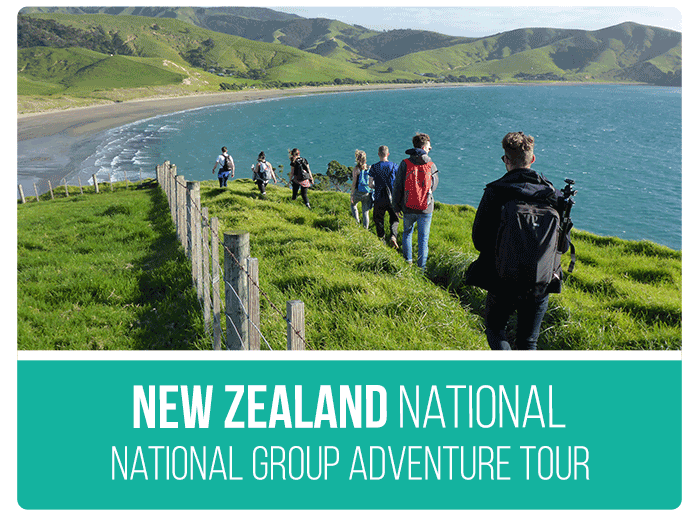 best new zealand tour groups