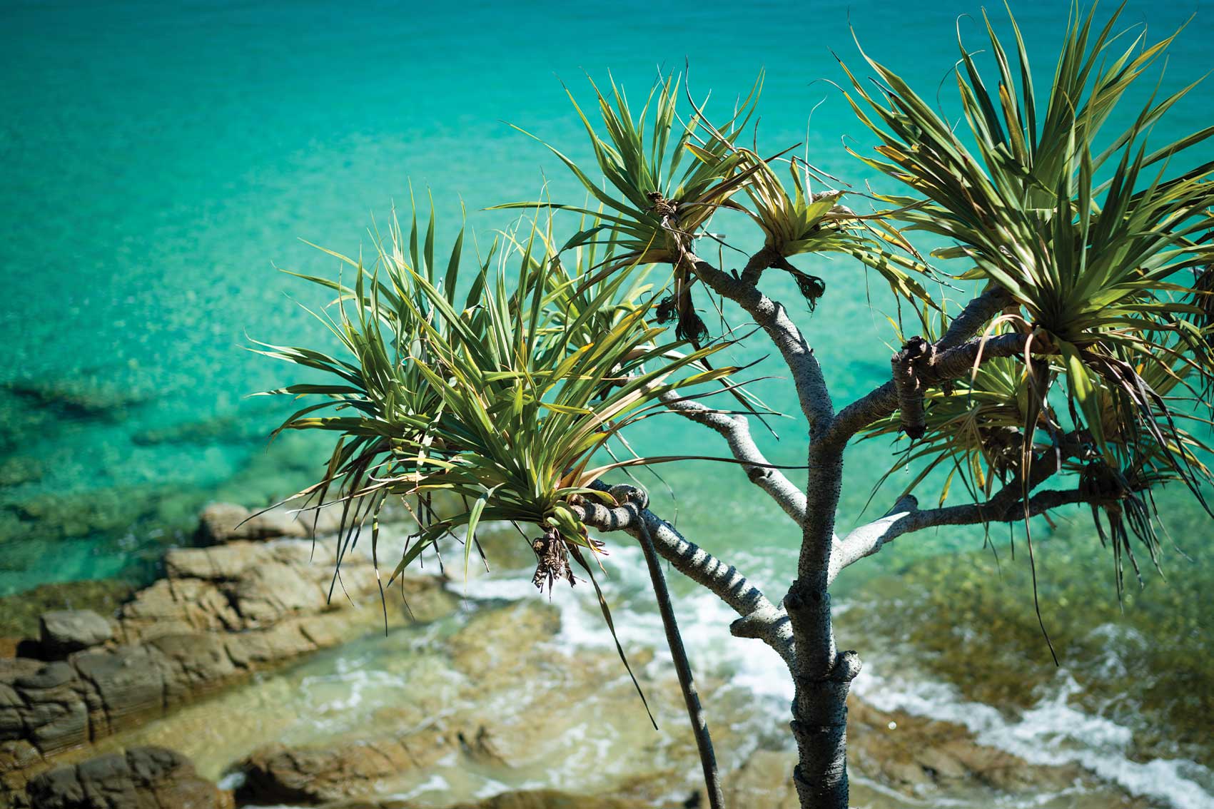 DAY 8 NOOSA TO AIRLIE BEACH