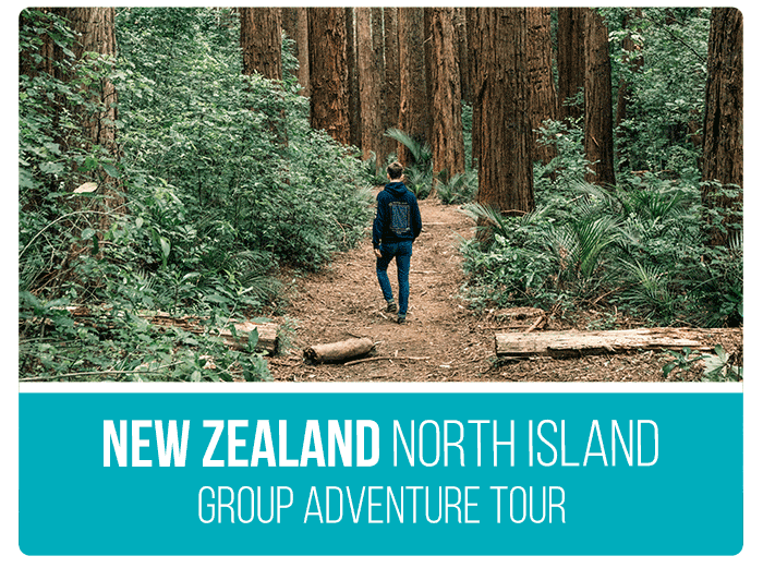 North-Island-Adventure
