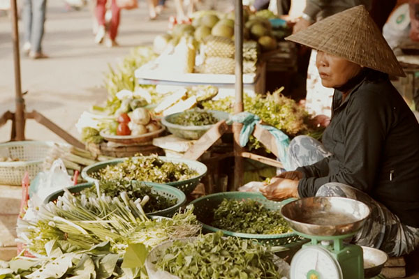  DAY 8  Nha Trang – Dalat 