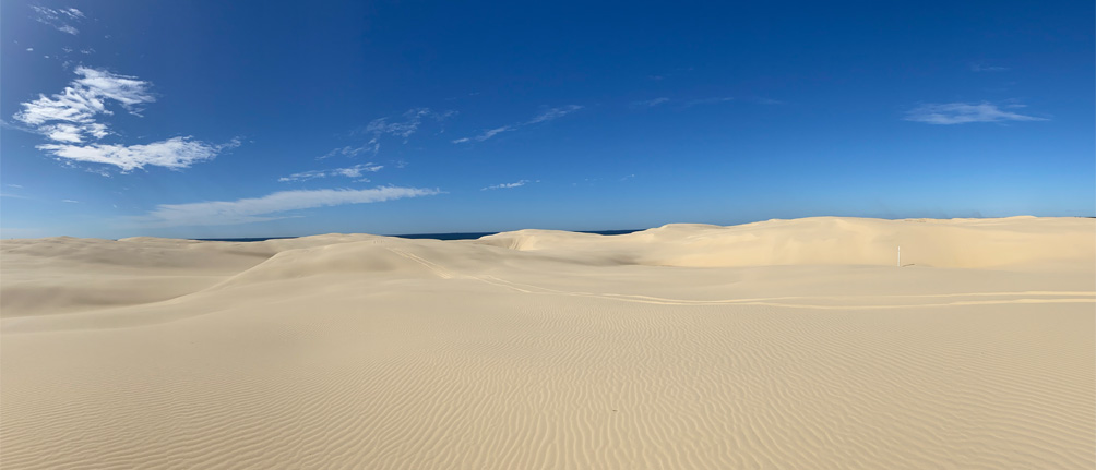 East Coast Flexi- dunes