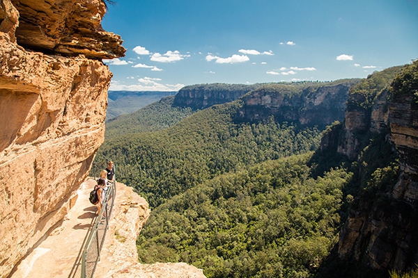 DAY 4 BLUE MOUNTAINS 