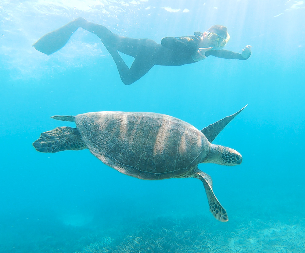 cairns dive 3