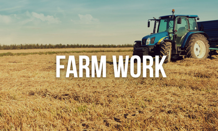 Working Holiday Australia Farm Jobs