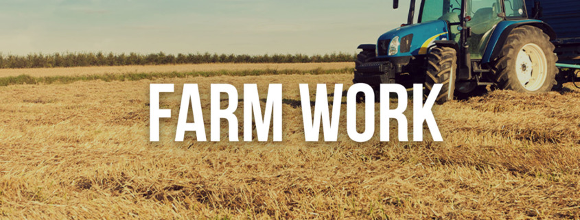 Working Holiday Australia Farm Jobs